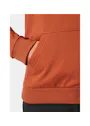 Helly Hansen Classic Logo 79284 Hoodie Regular Fit miniatuur