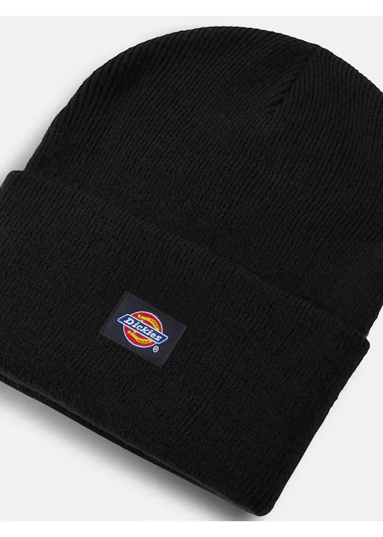 Dickies DK0A4Y63 Gebreide Beanie-Muts