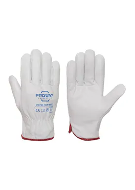 Proway Protection Driver PWH-1519V