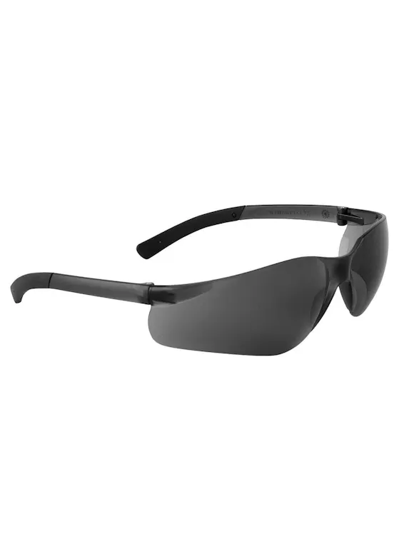 Portwest PW38 Pan View Bril