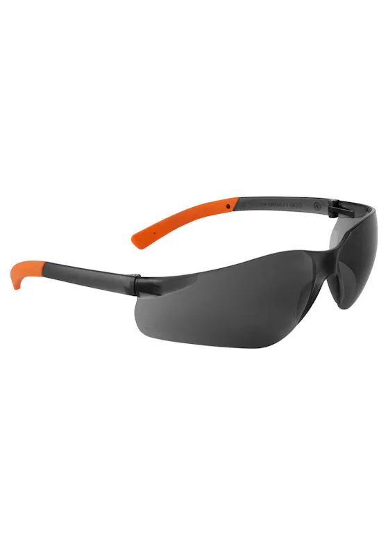 Portwest PW38 Pan View Bril